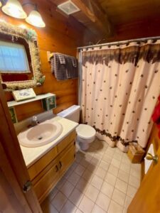 Cabin Bathroom