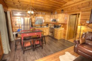 Cabin Kitchen 4
