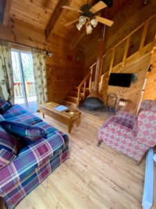 Cabin Living Room