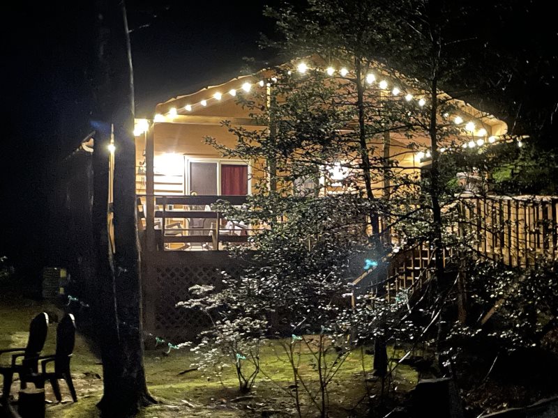Shady Brook Cabin
